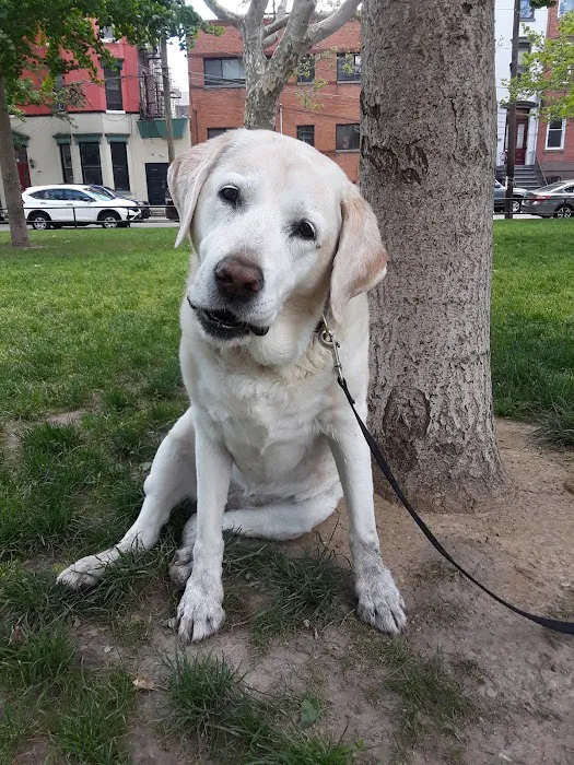 Church Square Park Dog Park 1