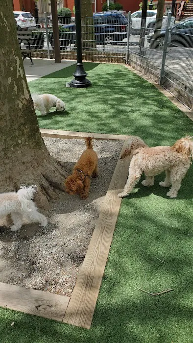 Church Square Park Dog Park 4