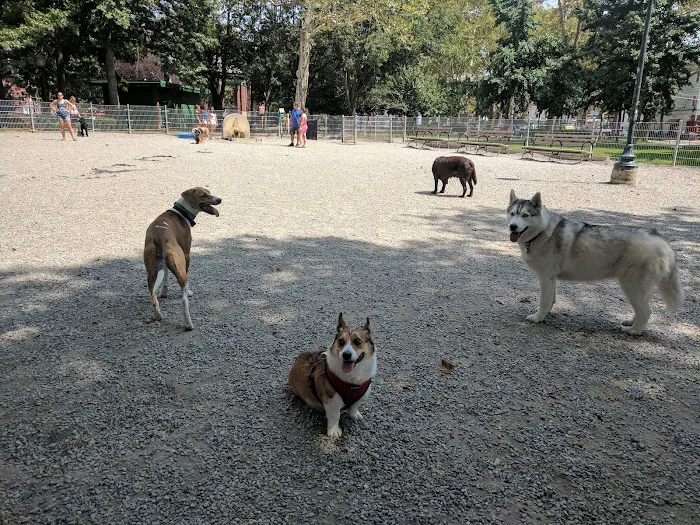 Church Square Park Dog Park 5