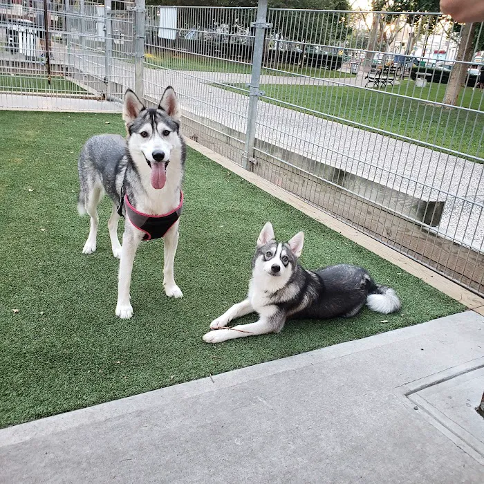 Church Square Park Dog Park 8