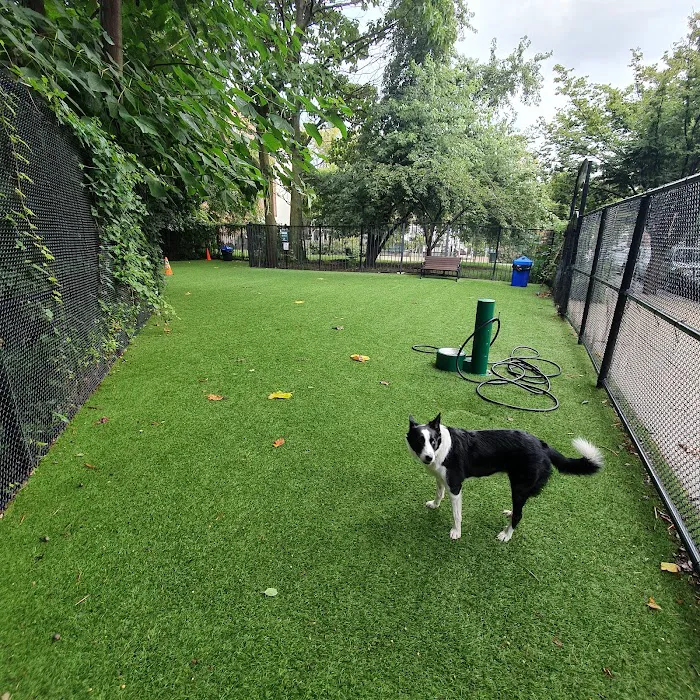Ogden's End Dog Park 3