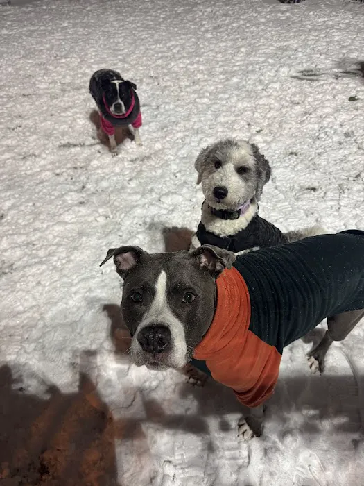 Ogden's End Dog Park 10