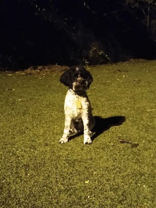 Ogden's End Dog Park 2
