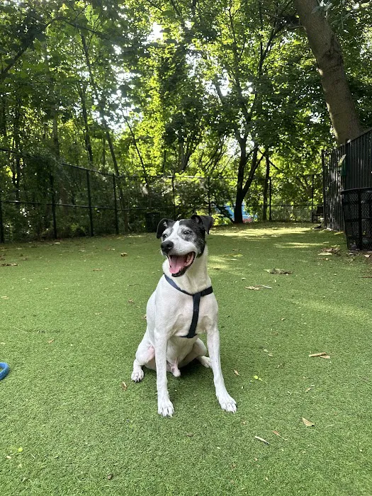 Ogden's End Dog Park 7