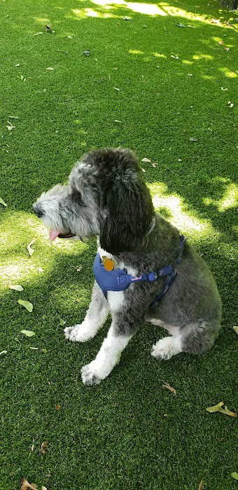 Ogden's End Dog Park 8
