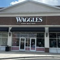 Waggles Charlotte ico
