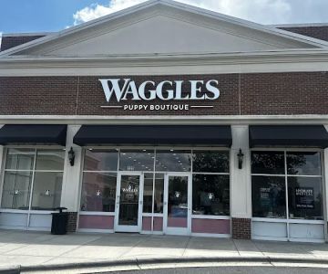 Waggles Charlotte