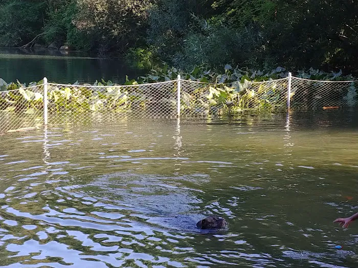 Prospect Park Dog Beach 4