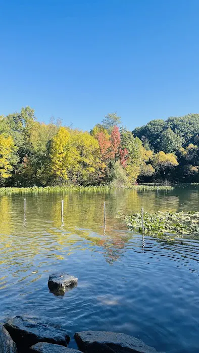 Prospect Park Dog Beach 8