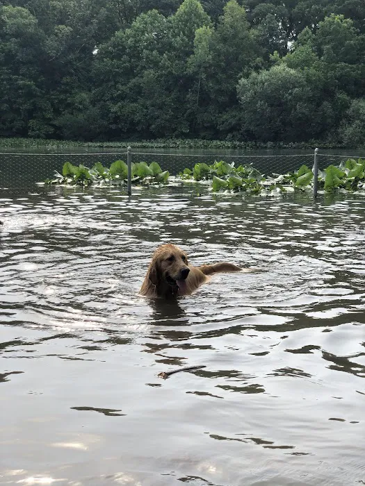 Prospect Park Dog Beach 6