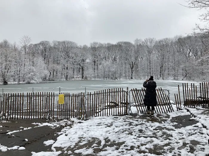 Prospect Park Dog Beach 10
