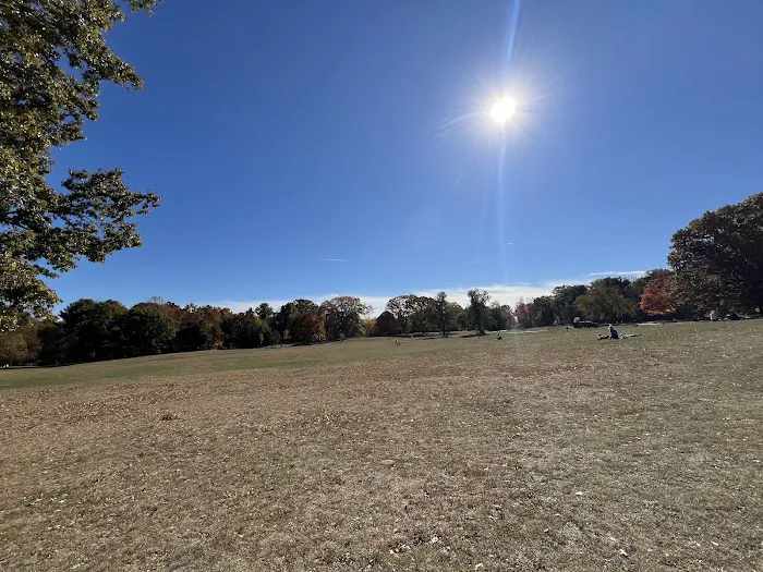 Prospect Park Dog Beach 1