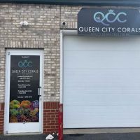 Queen City Corals ico