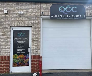 Queen City Corals