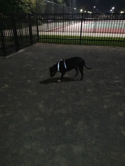 Berry Lane Park Dog Run 10