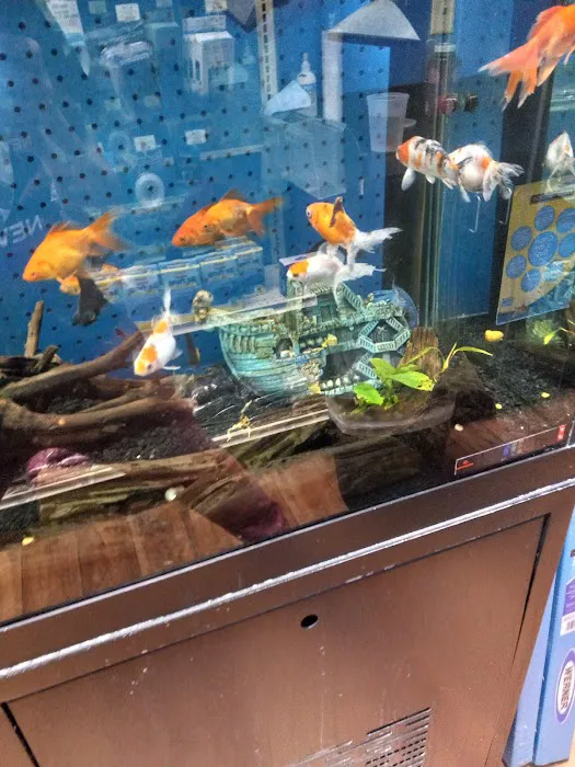 Pet Supermarket 10