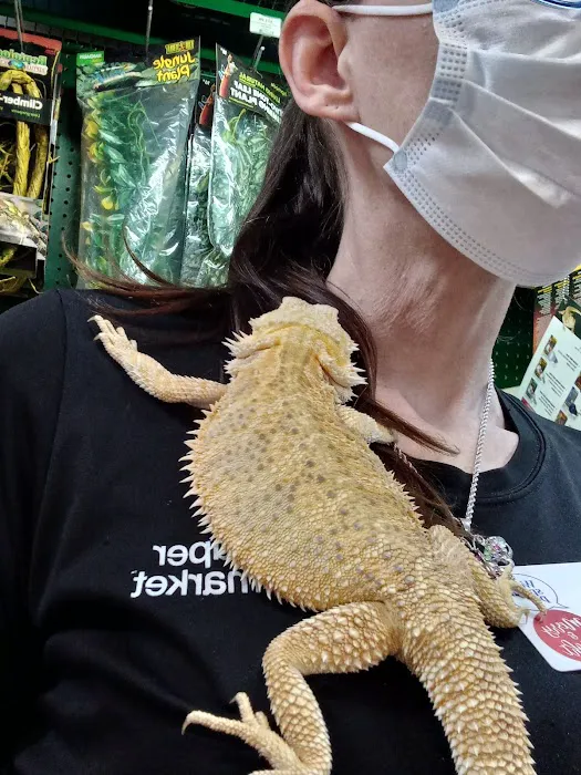 Pet Supermarket 4