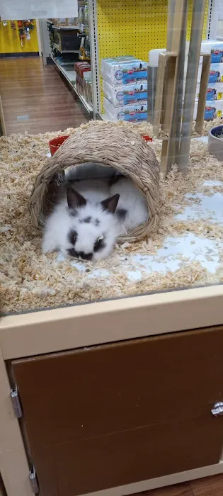 Pet Supermarket 8
