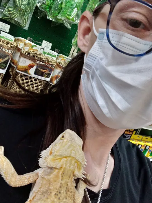 Pet Supermarket 5