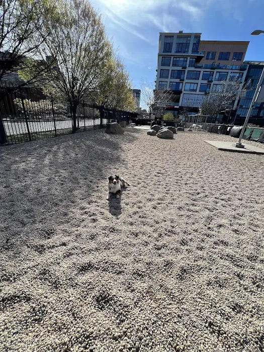 Marsha P. Johnson State Park Dog Run 5