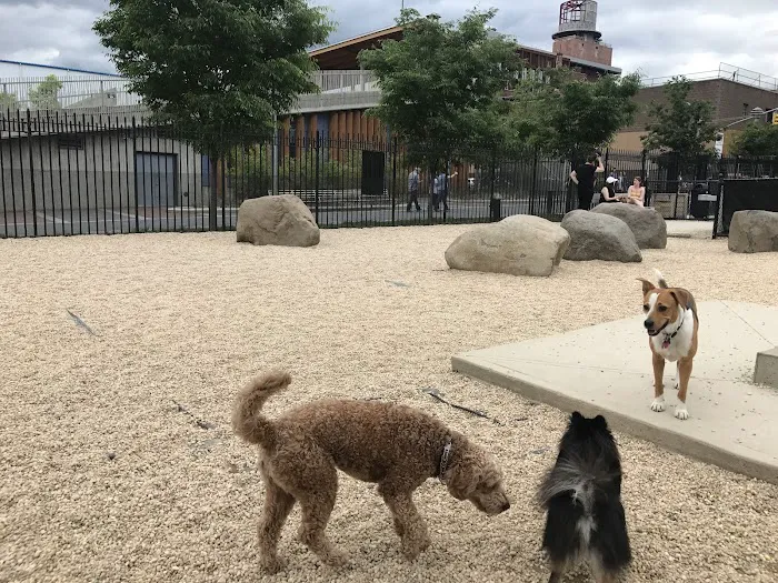 Marsha P. Johnson State Park Dog Run 3