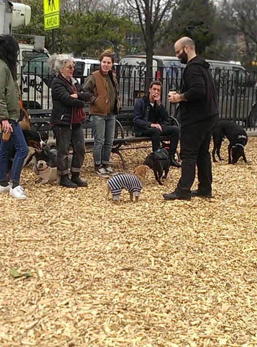 Herbert Von King Park Dog Run 4