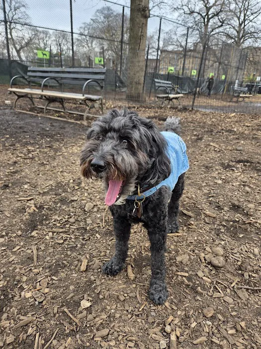 Herbert Von King Park Dog Run 7