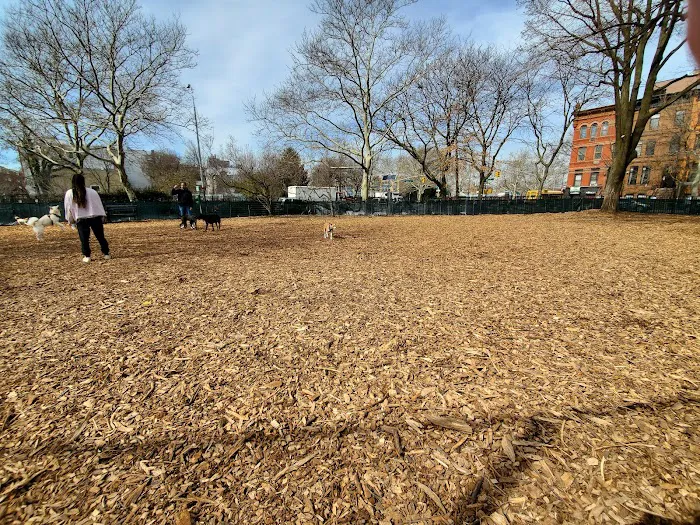 Herbert Von King Park Dog Run 3