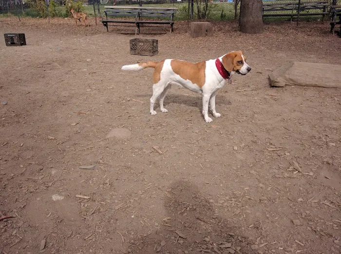 Herbert Von King Park Dog Run 1