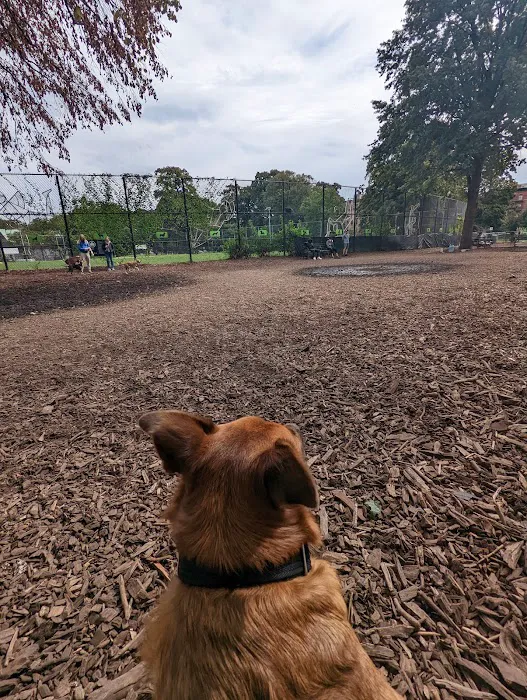 Herbert Von King Park Dog Run 2