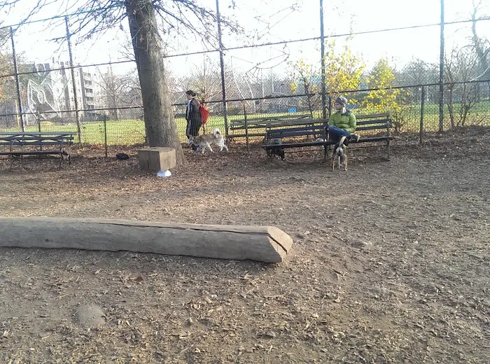 Herbert Von King Park Dog Run 6
