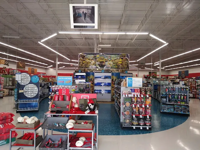 Petco 10