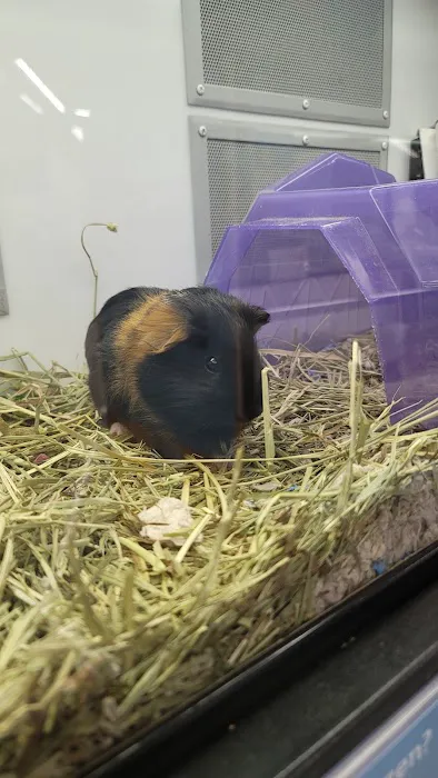 Petco 3