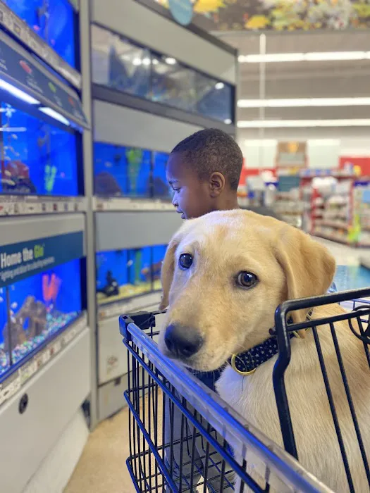 Petco 1