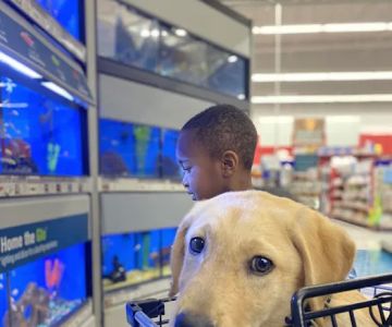 Petco