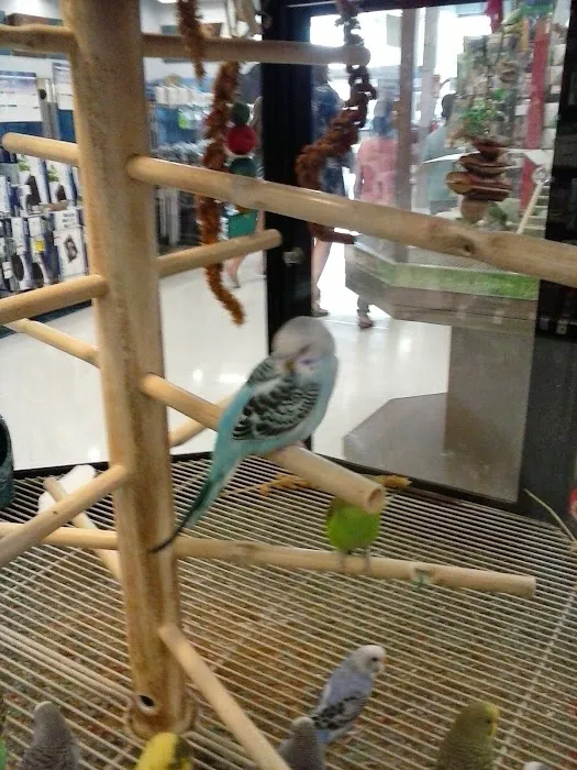Petco 5