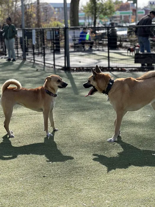 Kensington Dog Run 7