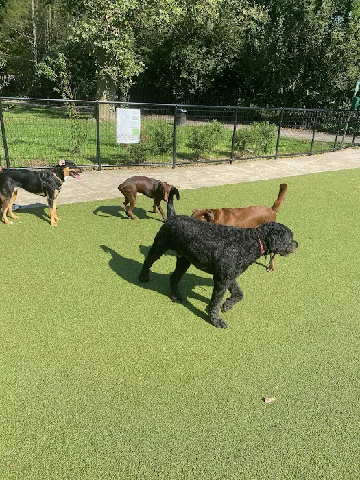 Kensington Dog Run 9