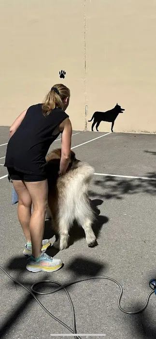 Chelsea Park Dog Run 1