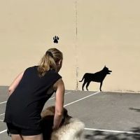 Chelsea Park Dog Run ico