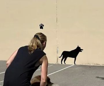 Chelsea Park Dog Run