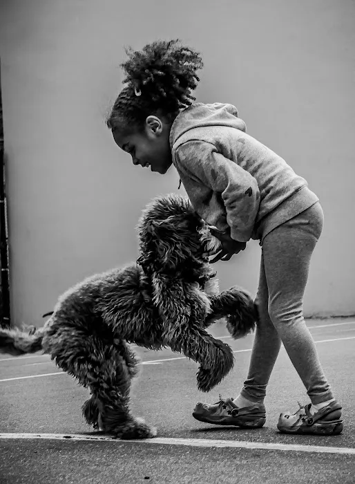 Chelsea Park Dog Run 2