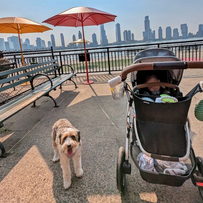 New Wave Pier Dog Run 7