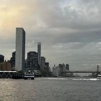 New Wave Pier Dog Run ico