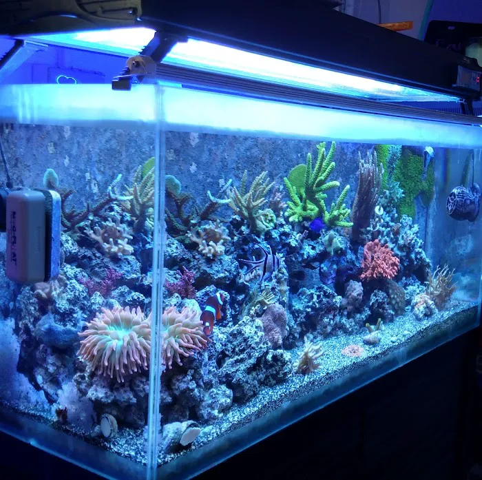 Advanced Aquatic Pets 8