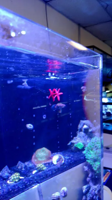 Advanced Aquatic Pets 5