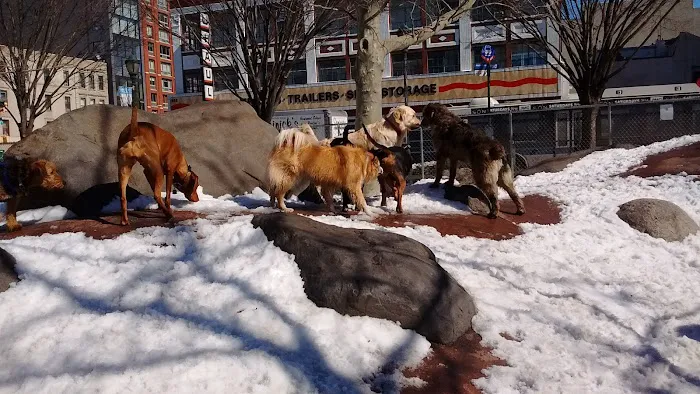 Chelsea Waterside Dog Park 3