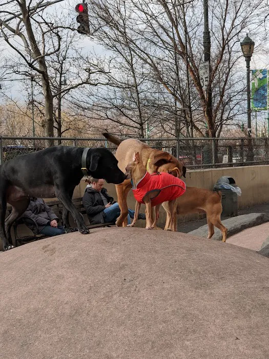 Chelsea Waterside Dog Park 8