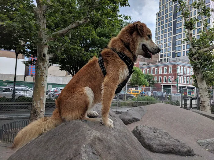 Chelsea Waterside Dog Park 10