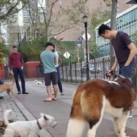 Robert Moses Dog Run ico
